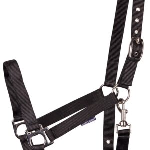 nylon halster voor paarden zwart