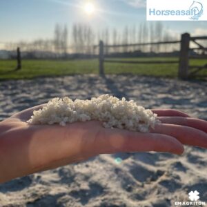 Home 5 Keltisch zeezout voor paarden